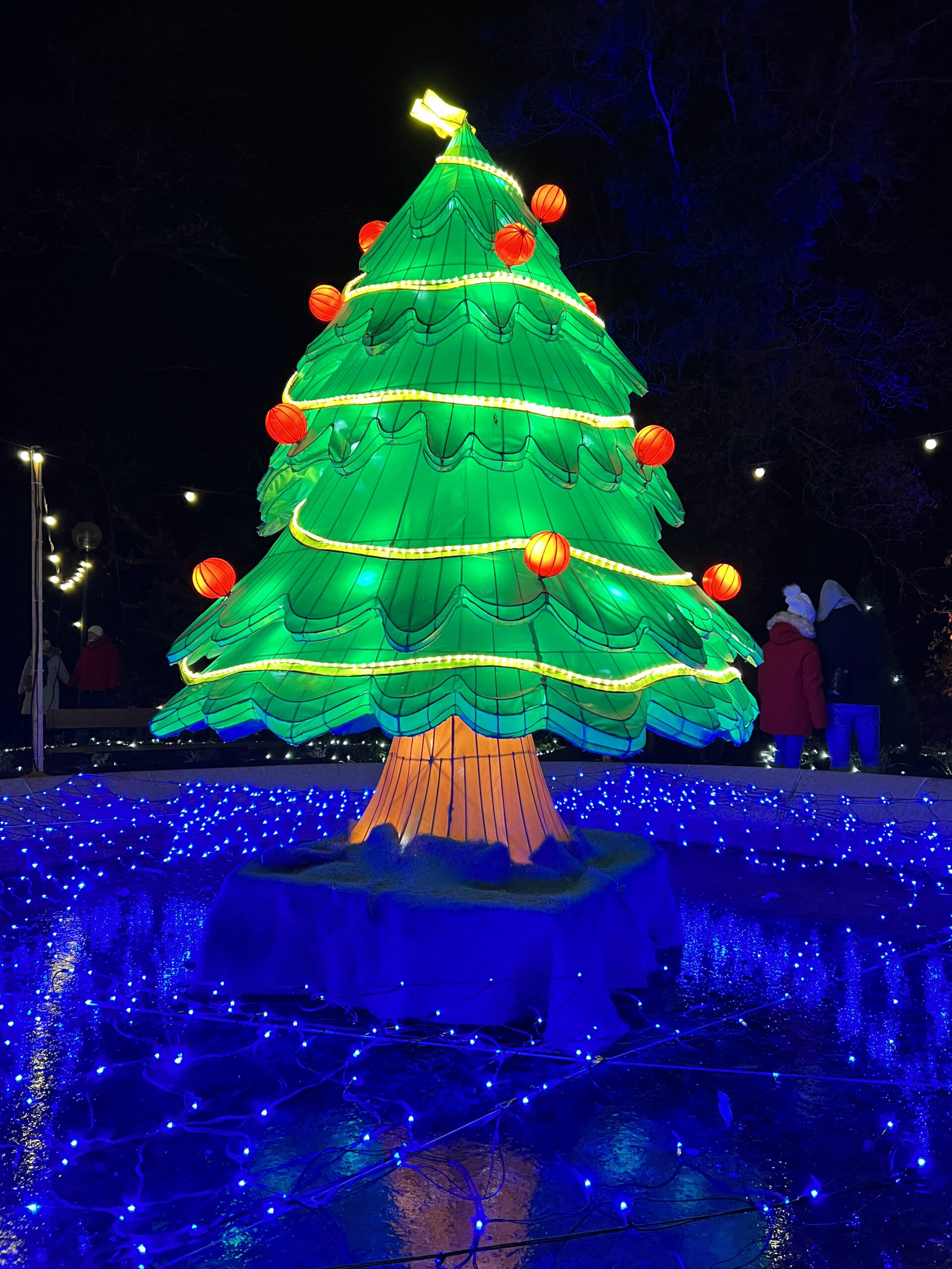 🇫🇷 Schlossberg Christmas Market (Forbach)