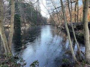Forbach