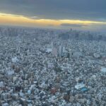 🇯🇵 Cruce de Shibuya - Hachiko - Skytree - Torre de Tokio