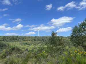 Parque Solar Terril Wendel