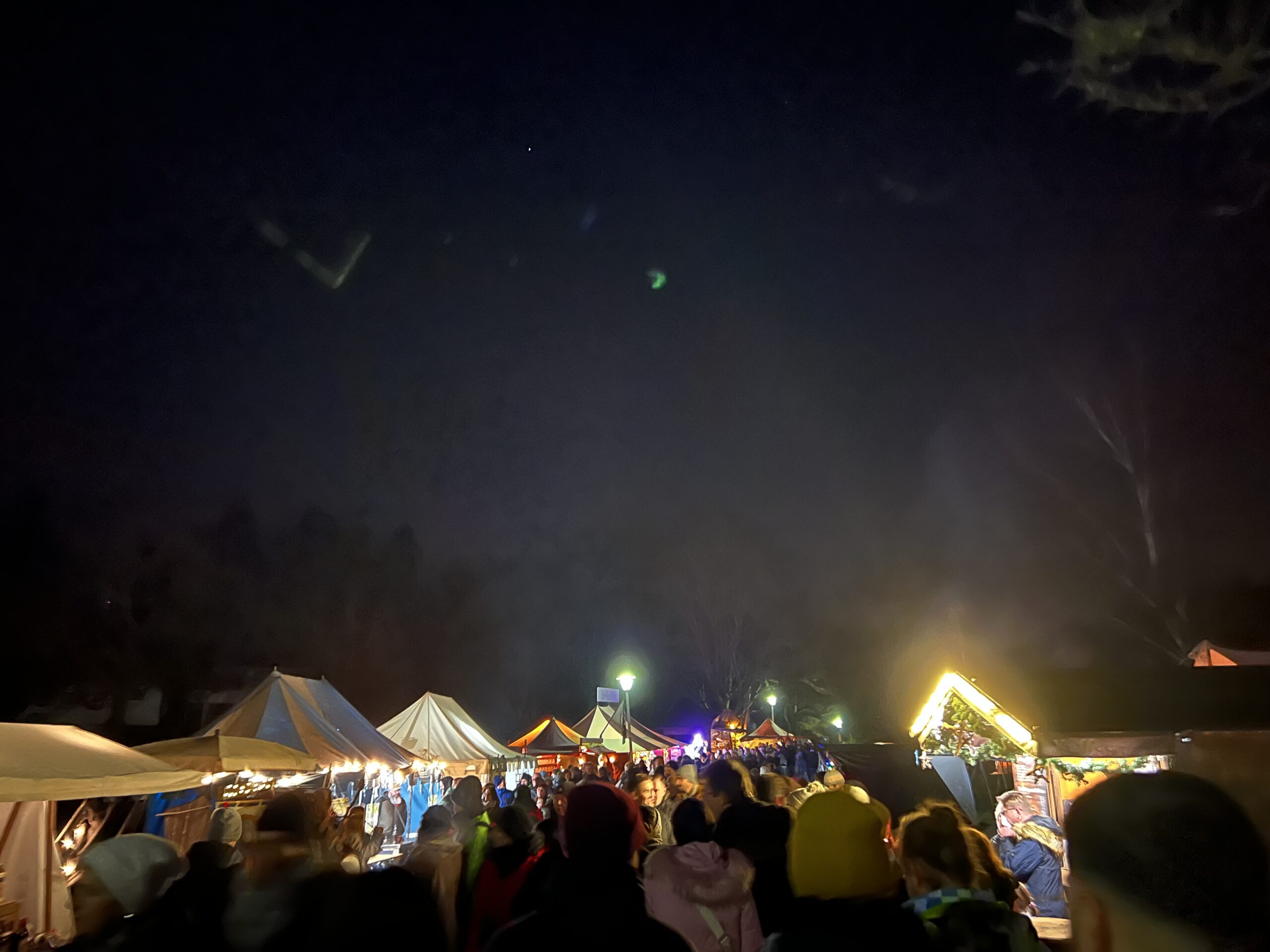 🇩🇪 Christmas Market in the Franco-German Garden of Saarbrücken