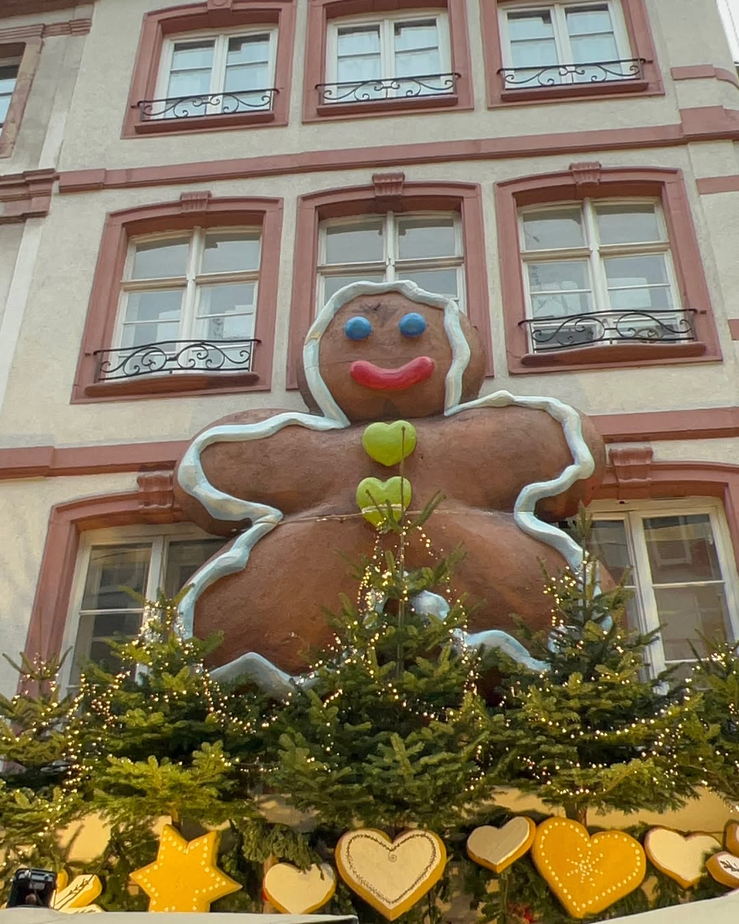 Strasbourg 🎄(Alsace)