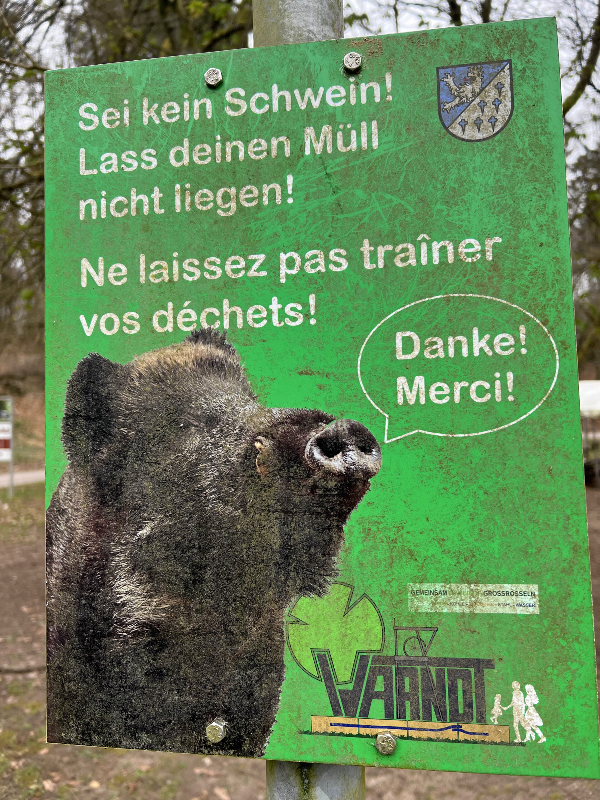 🇩🇪 Warndt-Wald-Weg