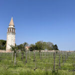 🇮🇹 Venissa (Mazzorbo)