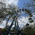 🇲🇩 Amusement Park (Chisinau)