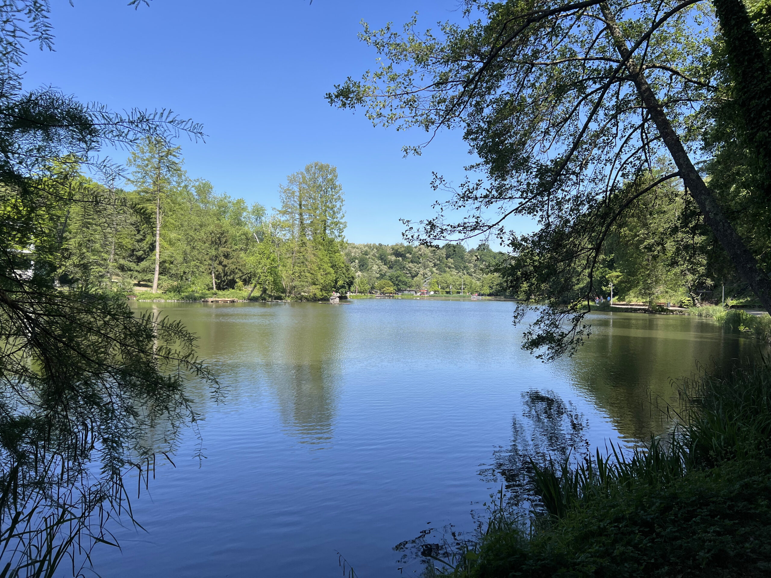 🇩🇪 Saarbrücken – Parque Franco-Alemán