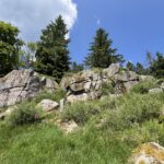 🇫🇷 La Bresse (The Vosges)