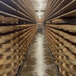 🇨🇭 Cheese Dairy : Gruyères
