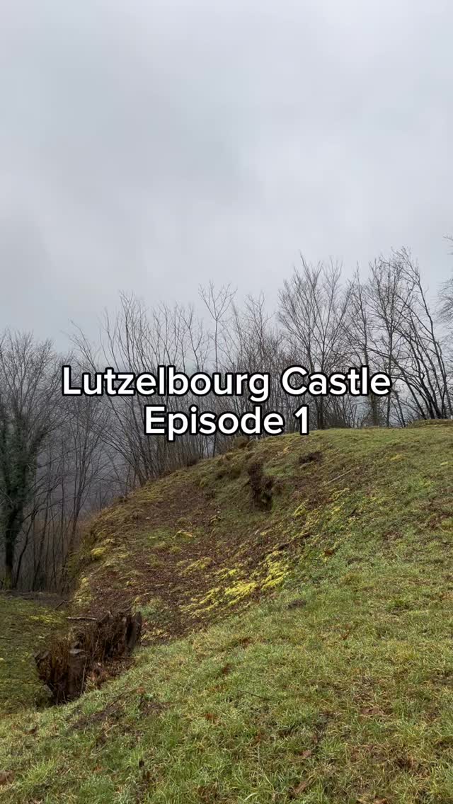 Lutzelbourg - Le château médiéval en grès rose
