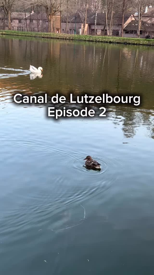 Lützelburg - Endlich Sonne am Kanal