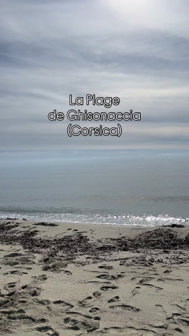 Der Strand von Ghisonaccia auf Korsika, ein langer Sandstreifen