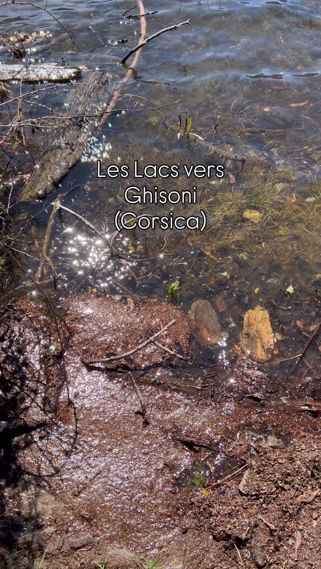 Ein Bergsee bei Ghisoni auf Korsika