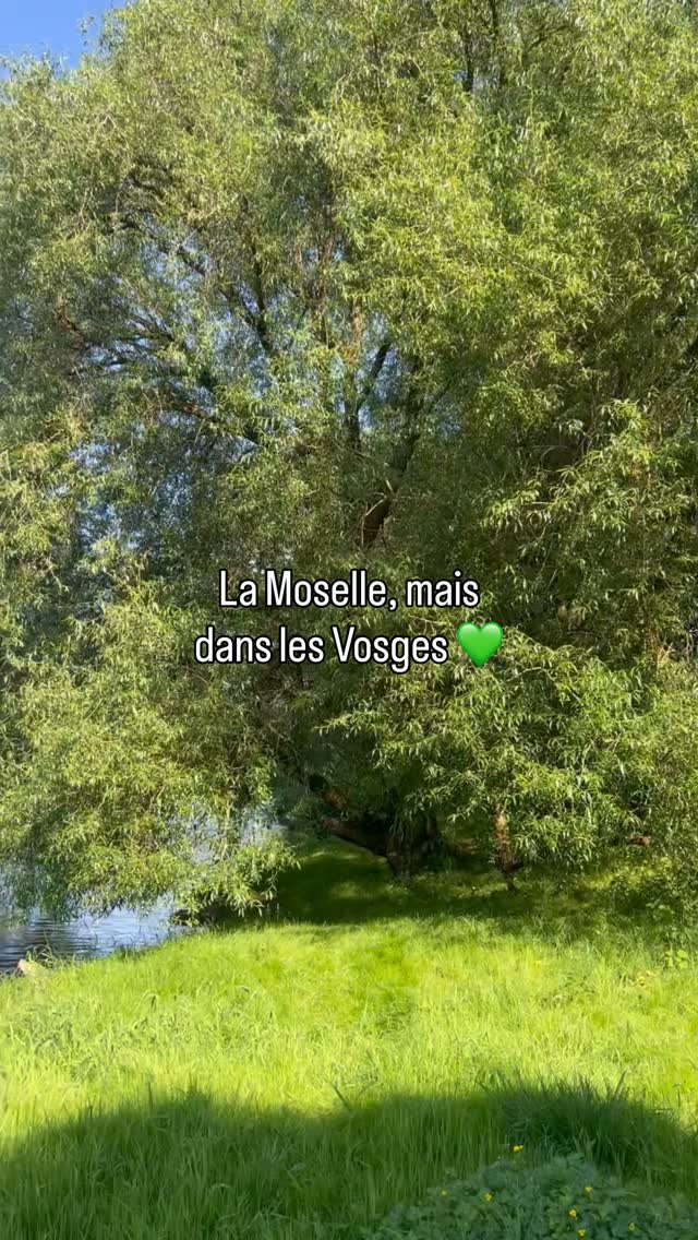Die Mosel in Charmes in den Vogesen am Campingplatz