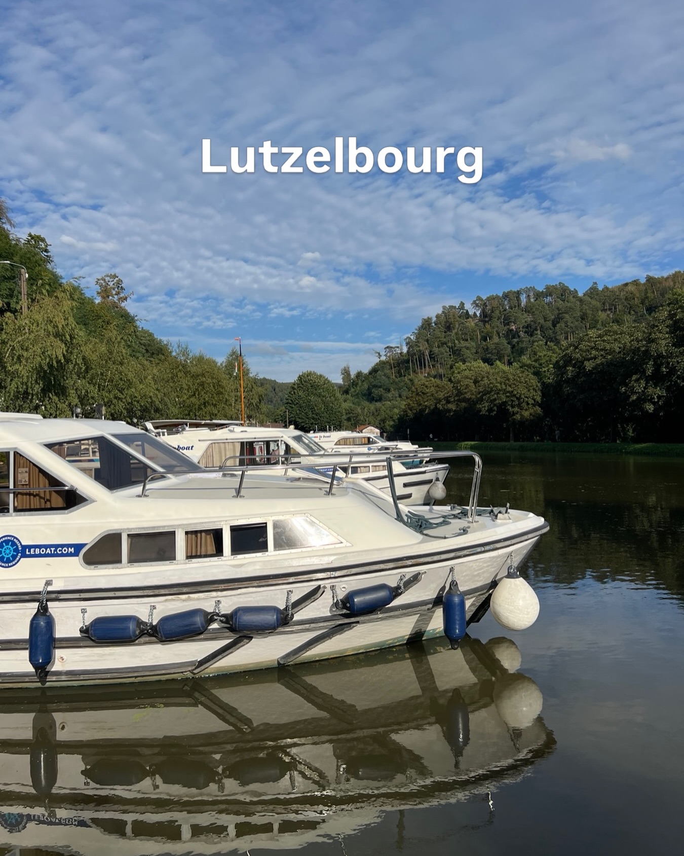Lützelburg - Der Kanal und die Kühe der Moselle