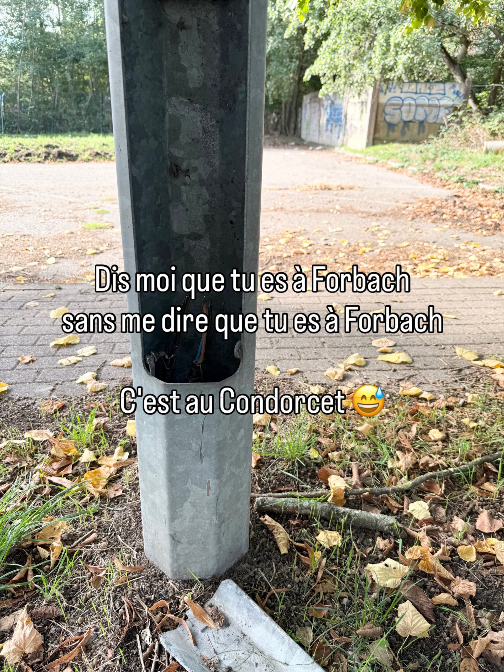 Forbach - Das Condorcet, ein Harissa-Wrap und Wolkenkratzer