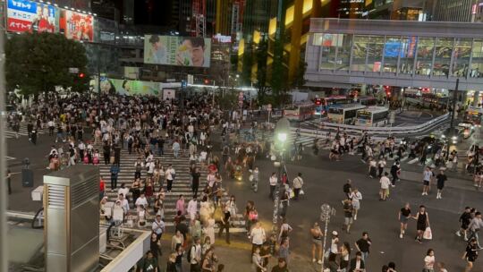Shibuya Crossing by Night + Karting