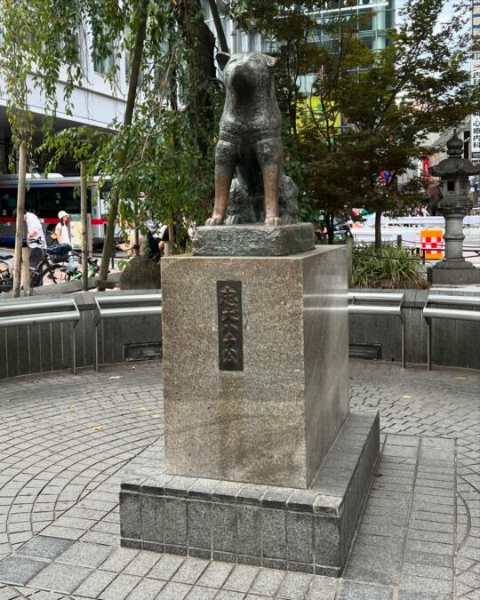 Shibuya Crossing + Hachiko