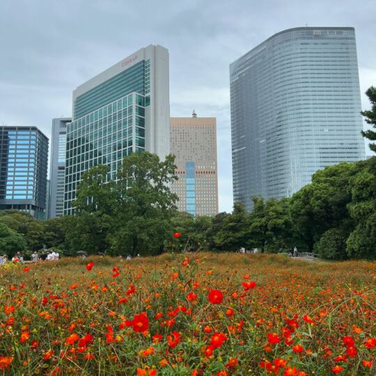 Hama-Rikyū