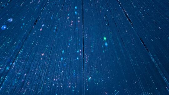 Team Lab Borderless - Tokyo