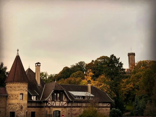 Schlossberg Forbach