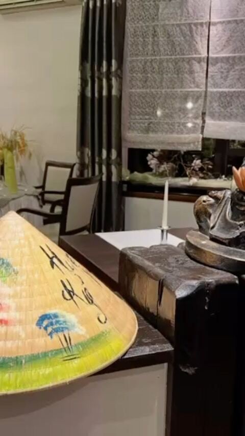 🇩🇪🇻🇳 Saarbrücken - Restaurant Vietnamien "Indochine" - Partie 1