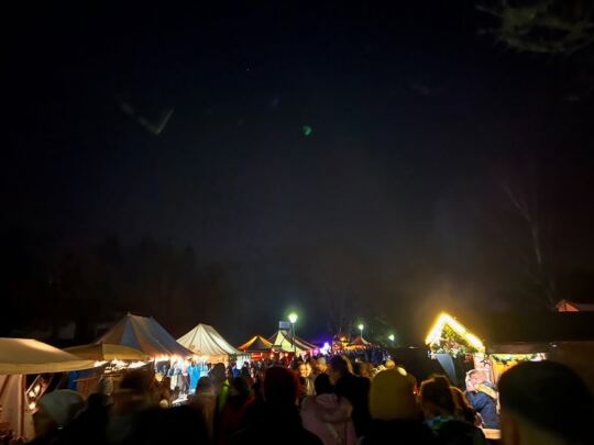 Marché de Noël du Jardin Franco-Allemand de Sarrebruck