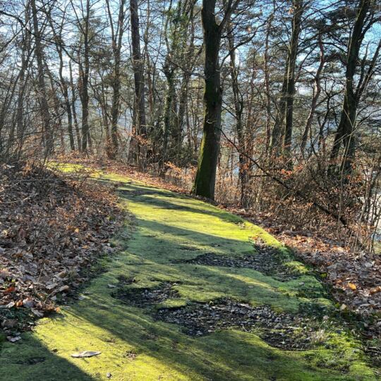 Forbach - Schlossberg