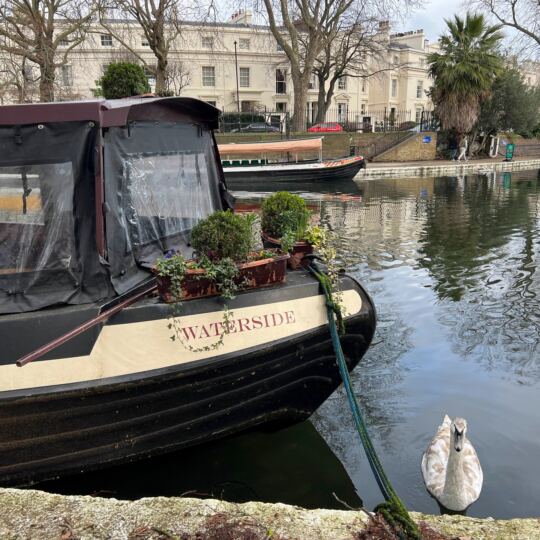 Little Venice & Paddington
