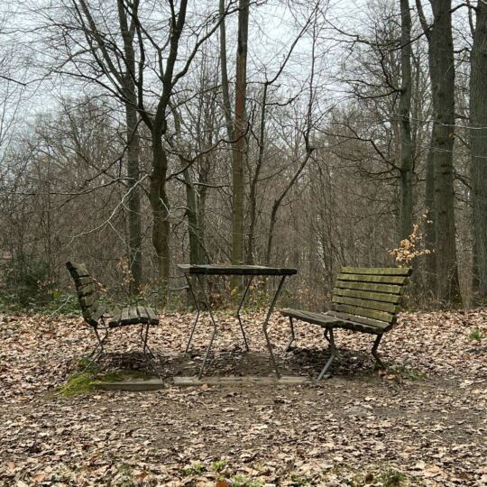 Warndt-Wald-Weg