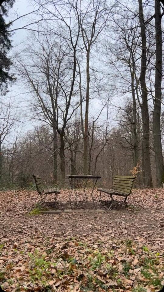 Warndt-Wald-Weg