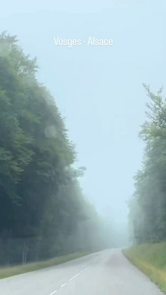 Les Vosges Alsaciennes