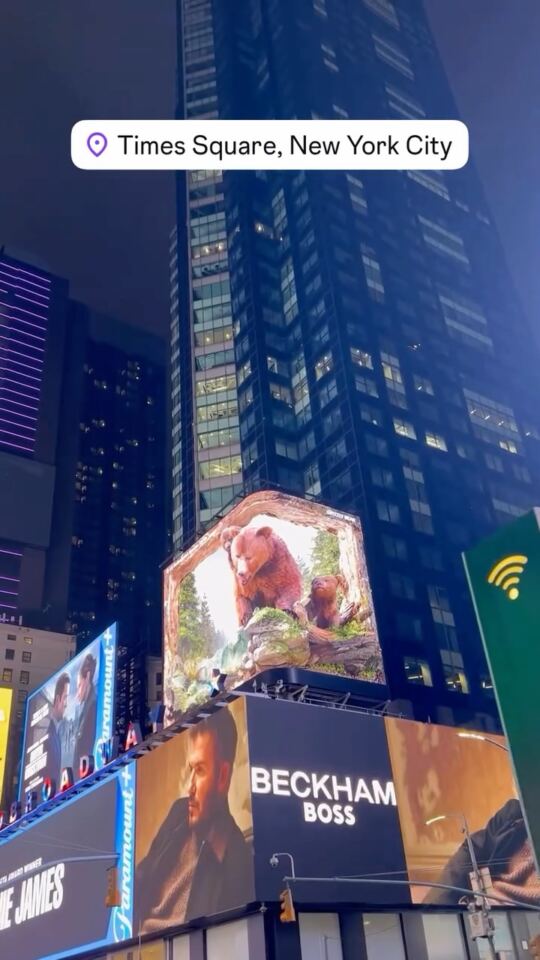 Times Square & Broadway
