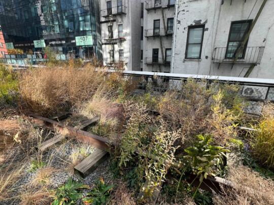 High Line