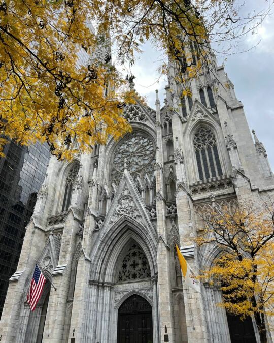 Cathédrale Saint Patrick