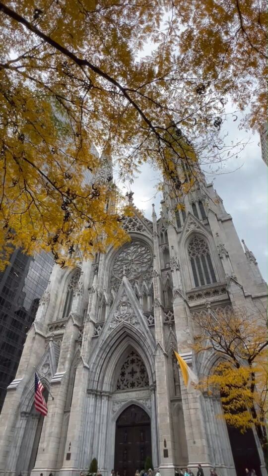Cathédrale Saint Patrick