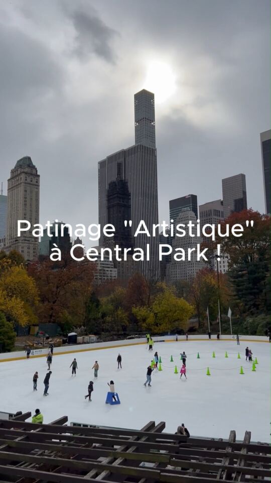 Central Park (New York)