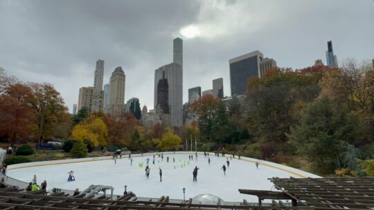 Central Park (New York)