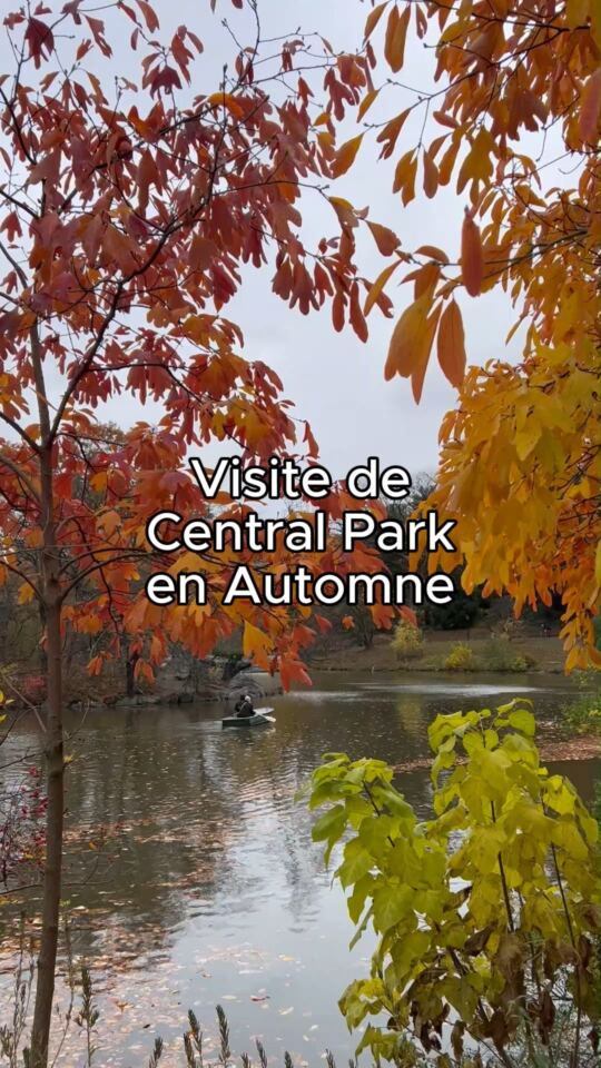Central Park en Automne