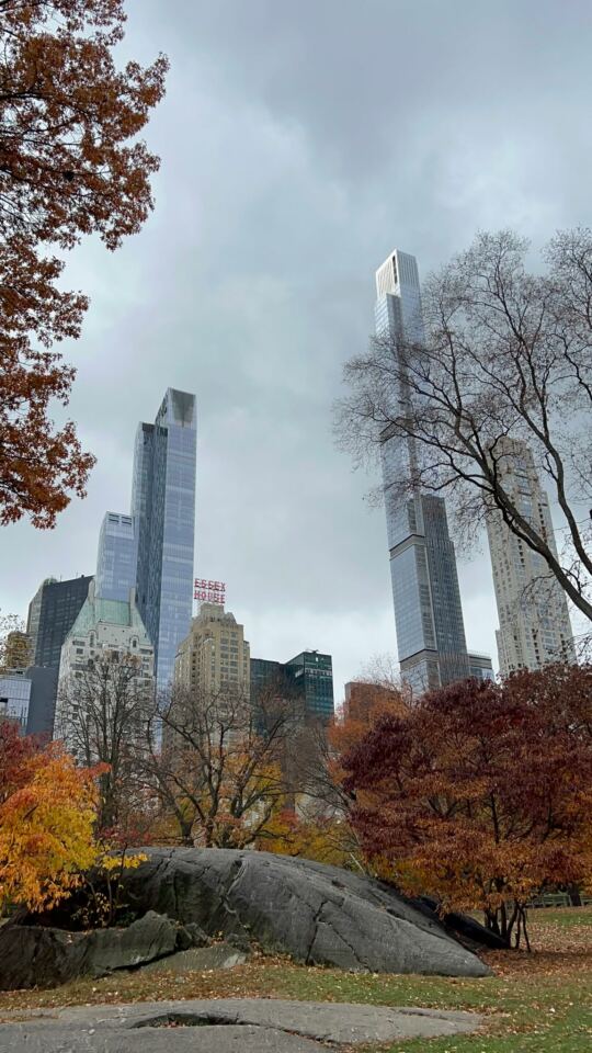 Central Park (New York)