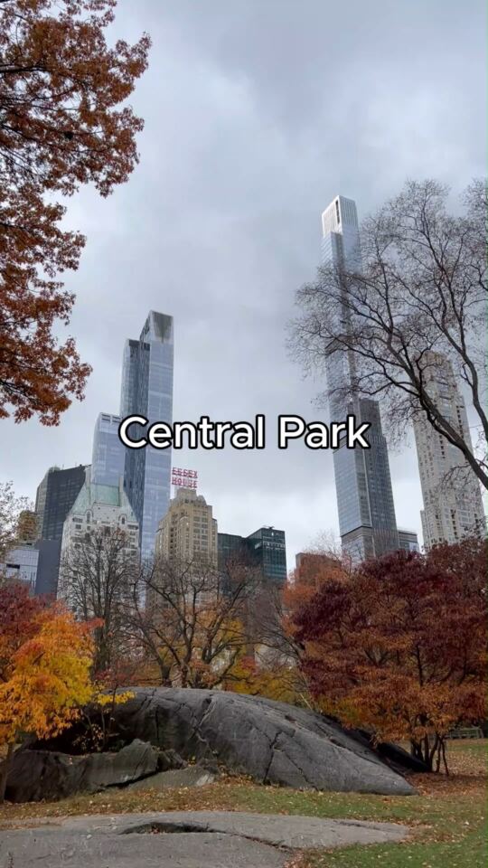 Central Park (New York)