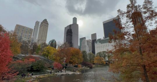 Central Park (New York)