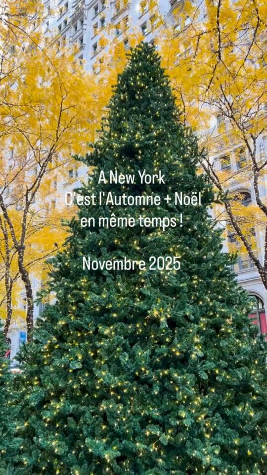 New York en Automne