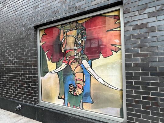 Dumbo (Brooklyn)