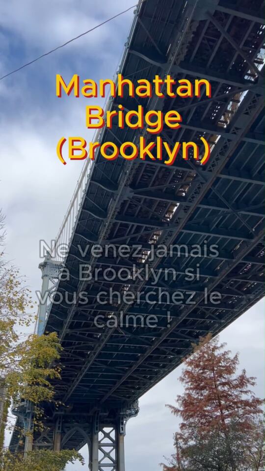 Pont de Manhattan (Brooklyn)