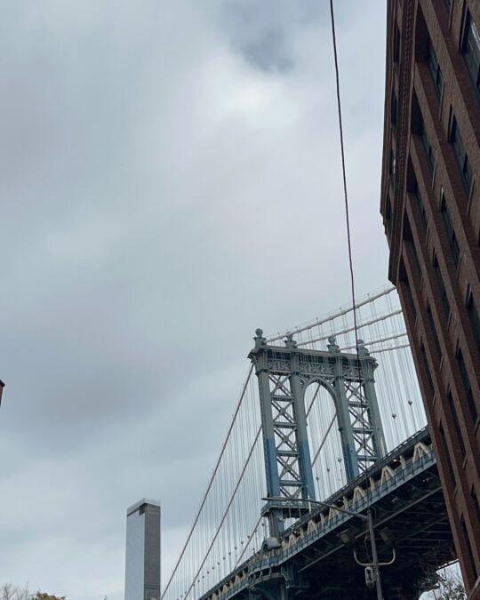 Pont de Manhattan (Brooklyn)