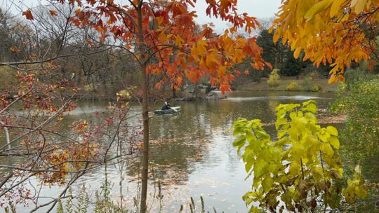 Central Park en Automne