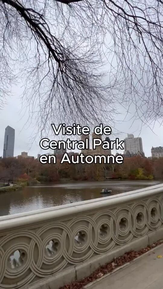 Central Park en Automne