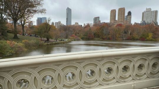 Central Park en Automne