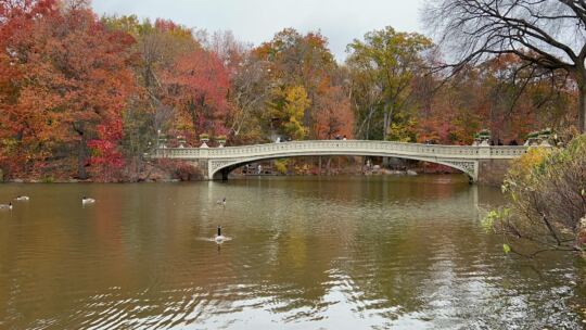 Central Park en Automne