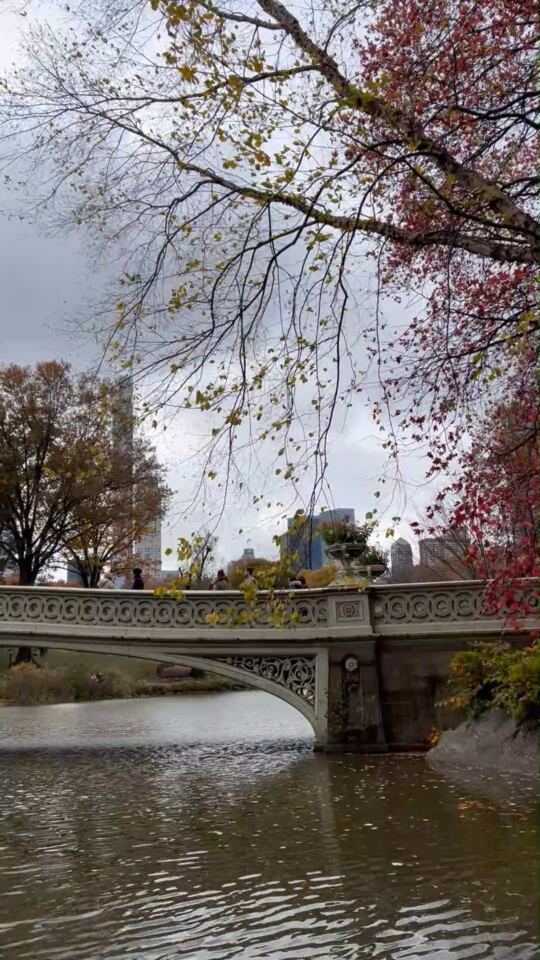 Central Park en Automne